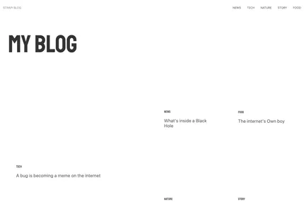 Screenshot of Strapi Starter Next Blog